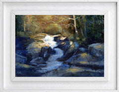 Tollymore Forest Park