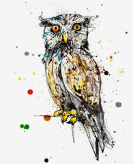 Original - The Ireland Collection - Twit Twoo
