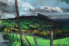 View Of Moneyscalp Forest, Mournes