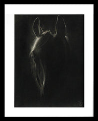 The Watcher Of The Stars