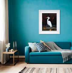 White Egret