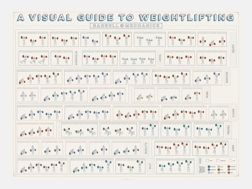 A Visual Guide To Weightlifting White Frame