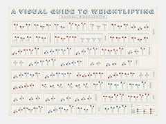 A Visual Guide To Weightlifting White Frame