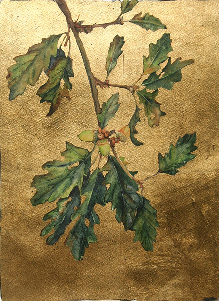 The Lost Words - Acorn Premium Edition Artist Proof