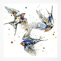 Print Open Edition Animals - Affinity-30 x 30-White Box Frame (No Mount)