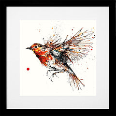 Print Open Edition Animals - Airborne-30 x 30-Black Box Frame (With Mount)