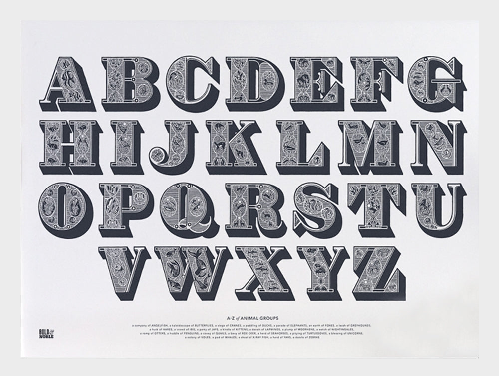 Nature - A-Z of Animal Groups Frame White