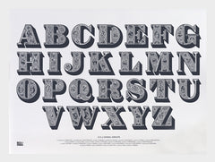 Nature - A-Z of Animal Groups Frame White