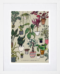 Always Growing White Frame