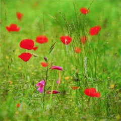 Other - Among Friends