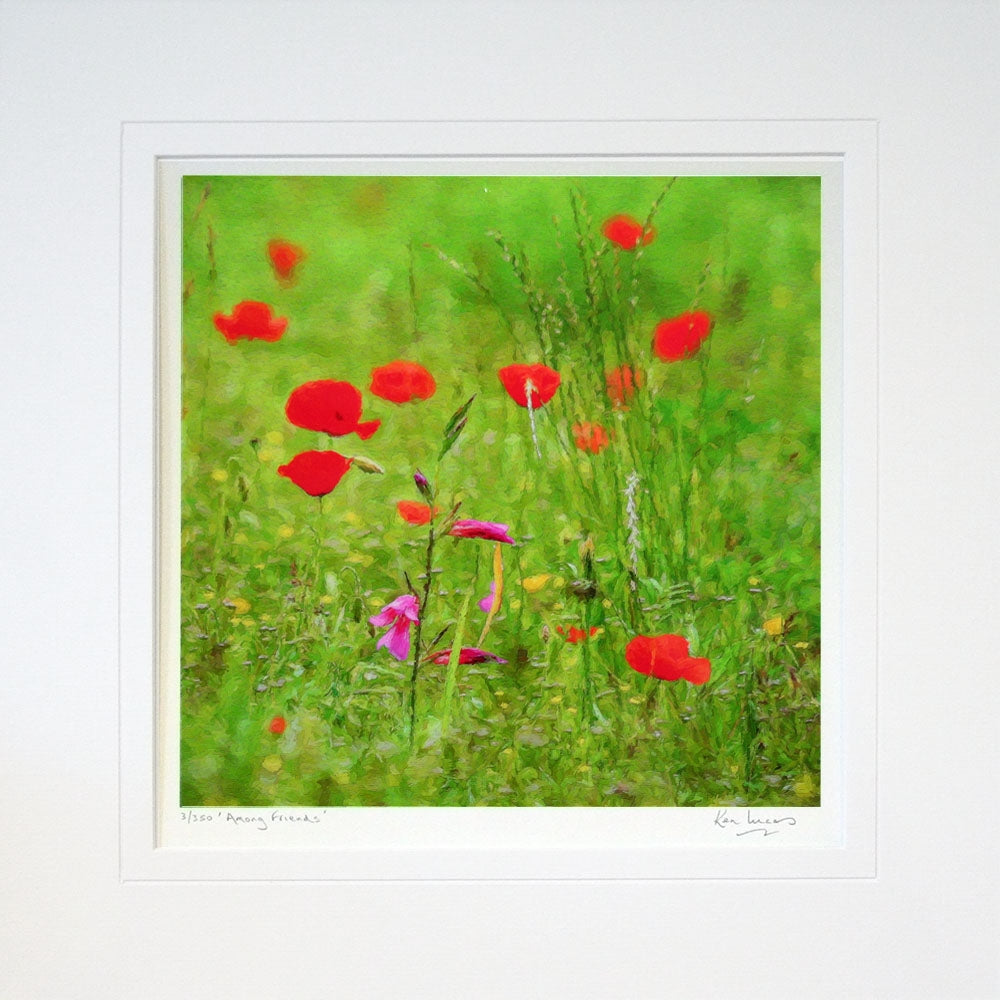 Other - Among Friends Unframed