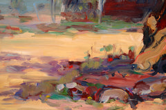 An Ancient Olive Tree In Calenzana, Corsica