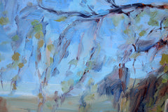 An Ancient Olive Tree In Calenzana, Corsica