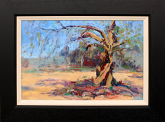 An Ancient Olive Tree in Calenzana Corsica - Framed