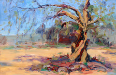 An Ancient Olive Tree In Calenzana, Corsica