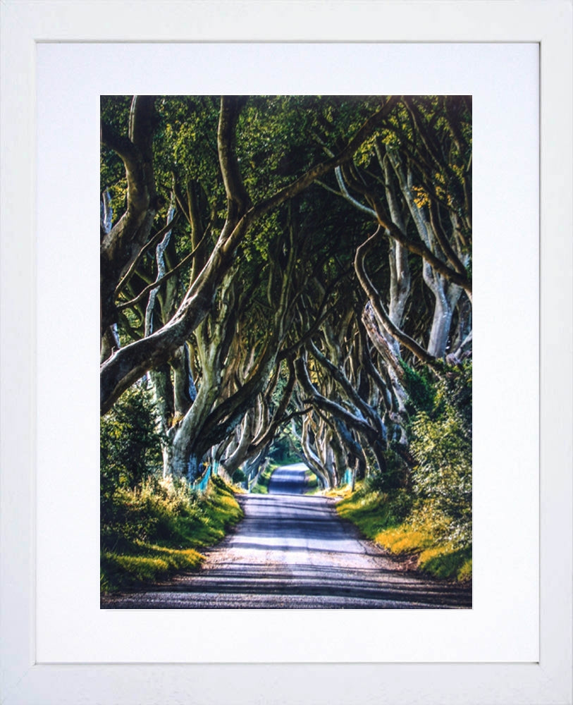 Co Antrim - Dark Hedges Frame White 30 x 40