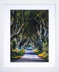 Co Antrim - Dark Hedges Frame White 30 x 40