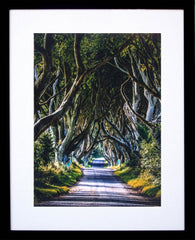 The Dark Hedges Black Frame 30x40