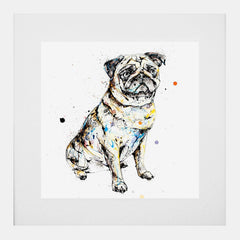 Print Open Edition Animals - Anticipation-30 x 30-White Box Frame (With Mount)