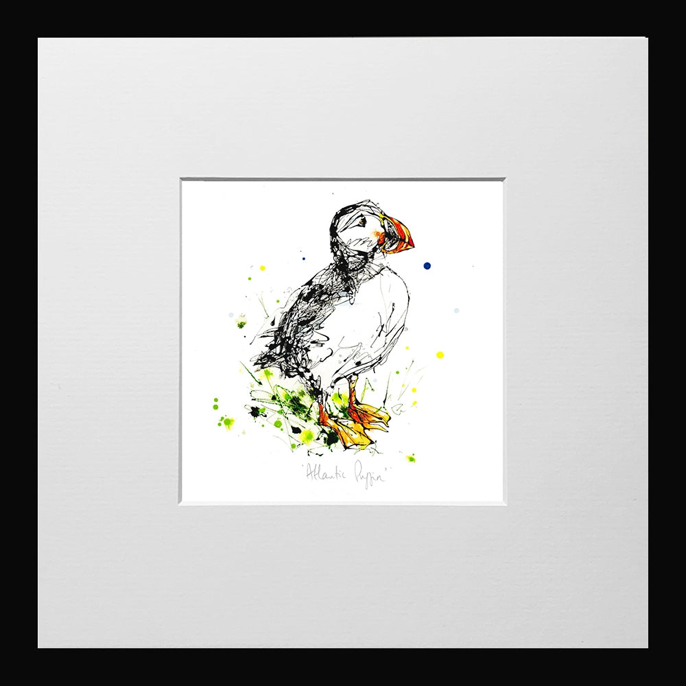 Print Open Edition Animals - Atlantic Puffin -12 x 12-Small Flat Black Frame