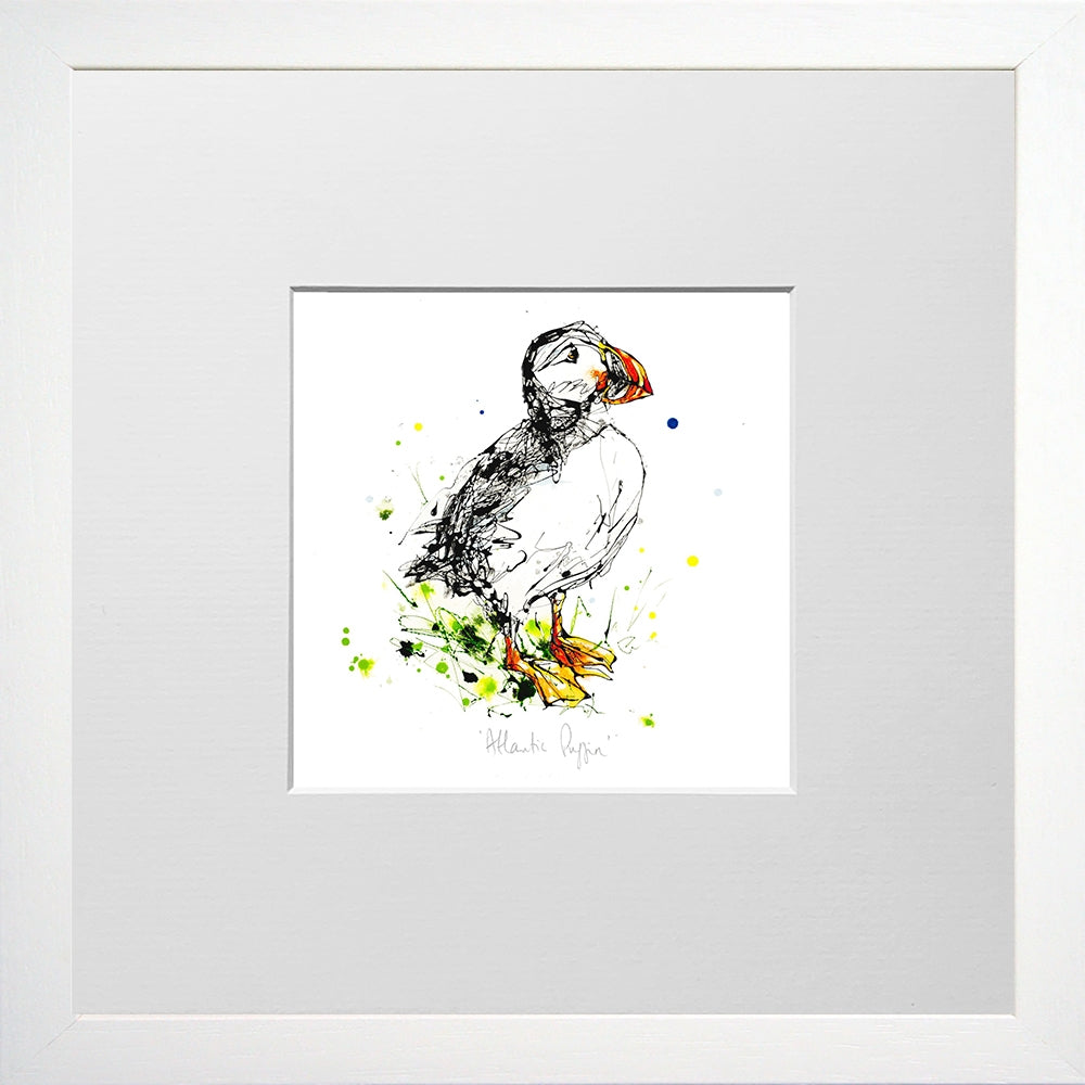 Print Open Edition Animals - Atlantic Puffin -12 x 12-Small Flat White Frame