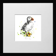 Print Open Edition Animals - Atlantic Puffin -12 x 12-Small Flat Black Frame
