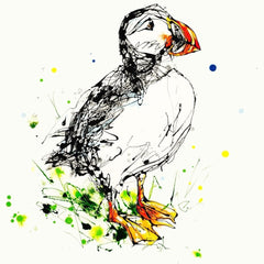 Print Open Edition Animals - Atlantic Puffin -30 x 30-Unframed