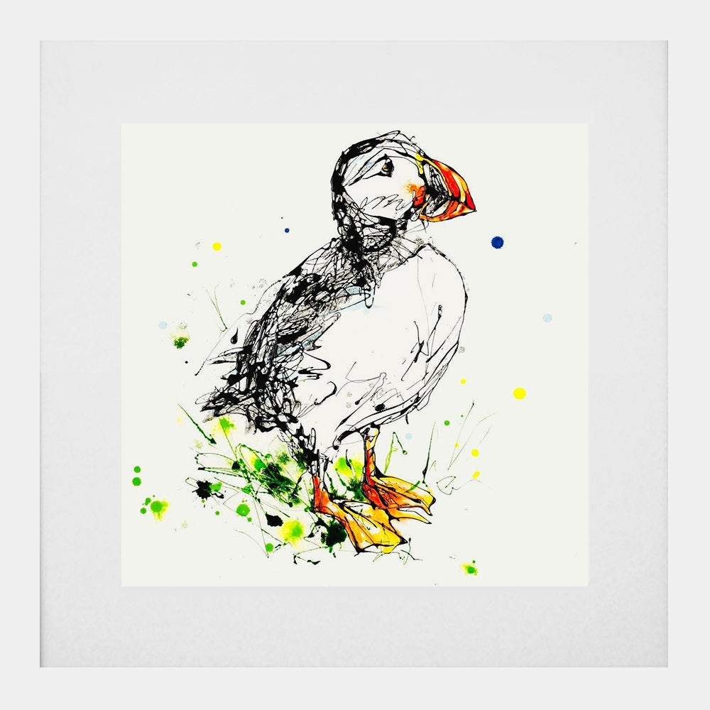 Print Open Edition Animals - Atlantic Puffin -30 x 30-White Box Frame (With Mount)