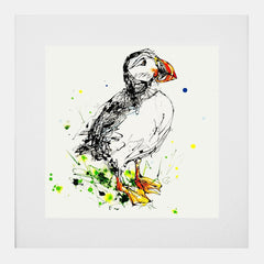 Print Open Edition Animals - Atlantic Puffin -30 x 30-White Box Frame (With Mount)