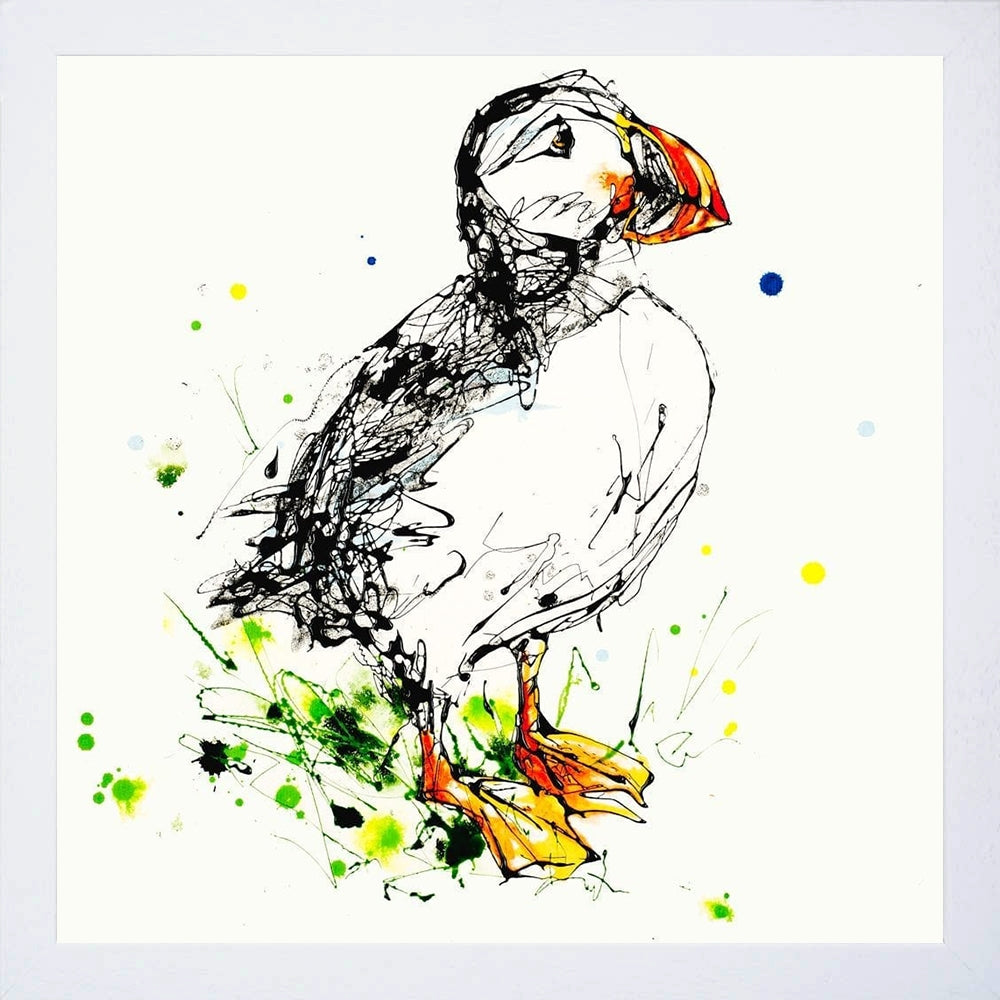 Print Open Edition Animals - Atlantic Puffin -30 x 30-White Box Frame (No Mount)