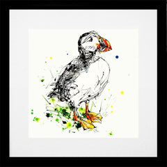 Print Open Edition Animals - Atlantic Puffin -30 x 30-Black Box Frame (With Mount)