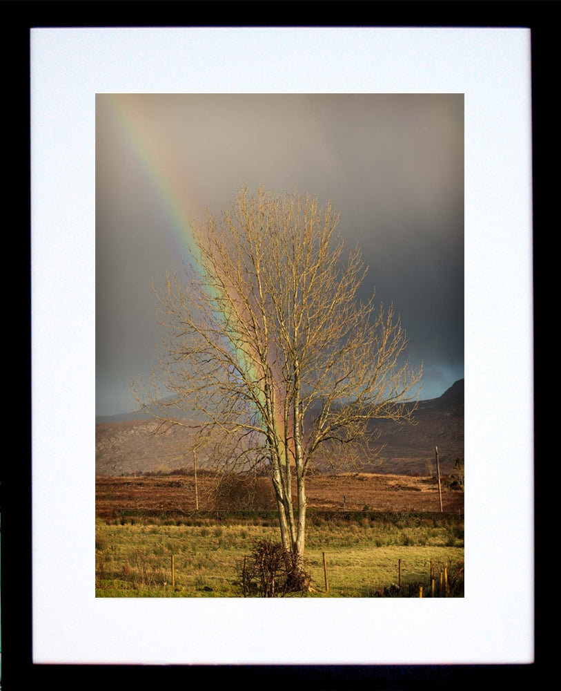 Other - At The End Of The Rainbow Black Frame