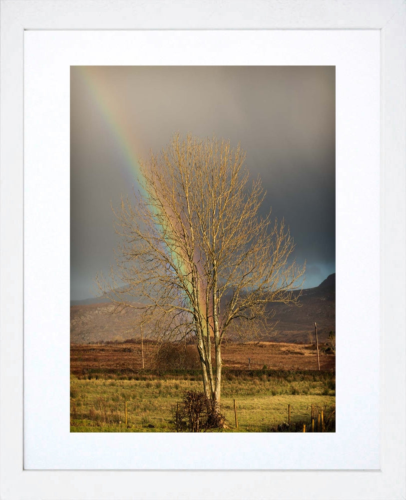 Other - At The End Of The Rainbow White Frame