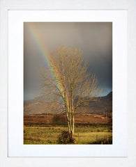 Other - At The End Of The Rainbow White Frame