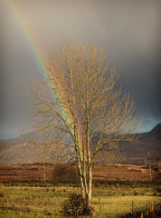 Other - At The End Of The Rainbow Unframed