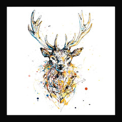 Print Open Edition Animals - Aura-30 x 30-Black Box Frame (No Mount)