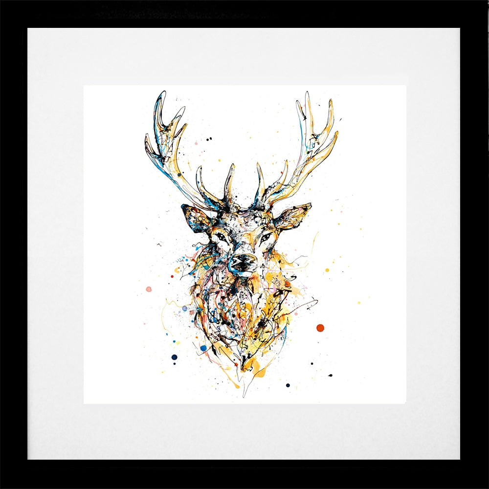 Print Open Edition Animals - Aura-30 x 30-Black Box Frame (With Mount)