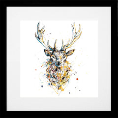 Print Open Edition Animals - Aura-30 x 30-Black Box Frame (With Mount)