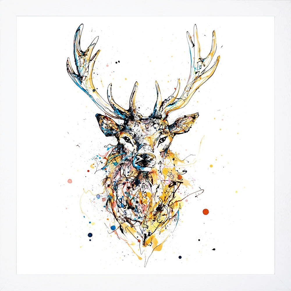 Print Open Edition Animals - Aura-30 x 30-White Box Frame (No Mount)