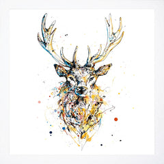 Print Open Edition Animals - Aura-30 x 30-White Box Frame (No Mount)