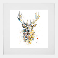 Print Open Edition Animals - Aura-30 x 30-White Box Frame (With Mount)