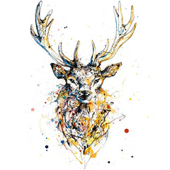 Print Open Edition Animals - Aura