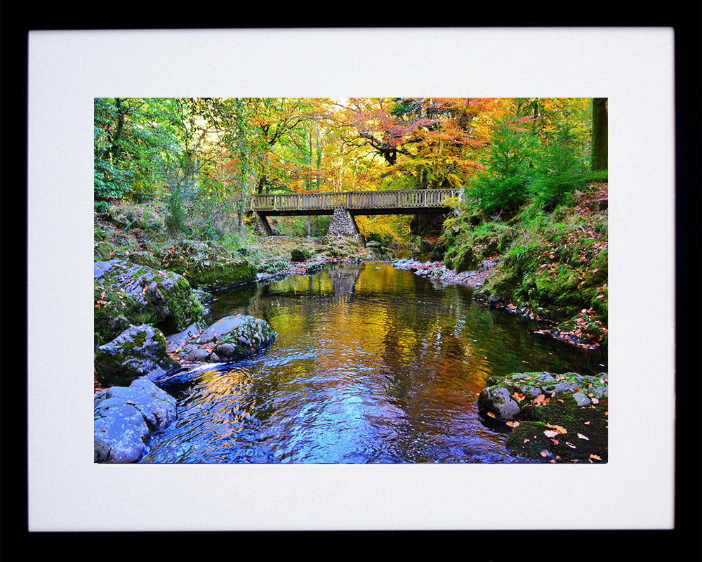 Co Down - Mournes - Tollymore Forest Park - Black Box Frame