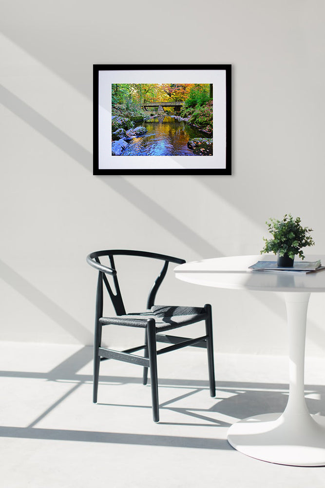 Co Down - Mournes Tollymore Forest Park