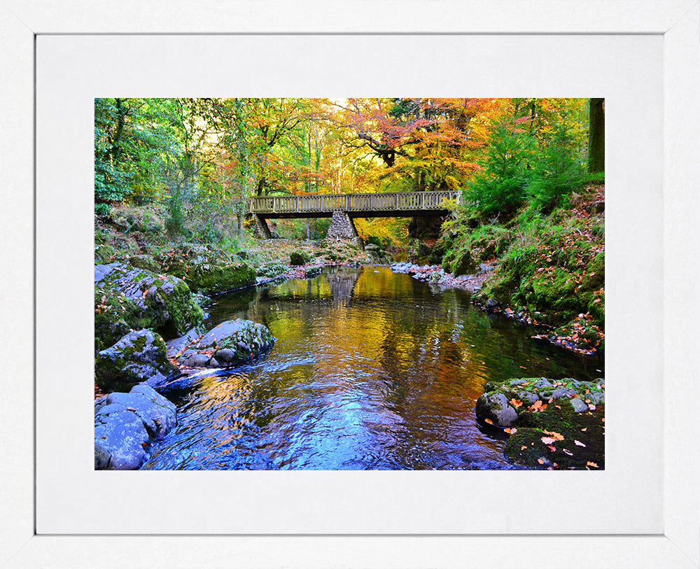 Co Down - Mournes - Tollymore Forest Park - White Box Frame