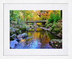 Co Down - Mournes - Tollymore Forest Park - White Box Frame