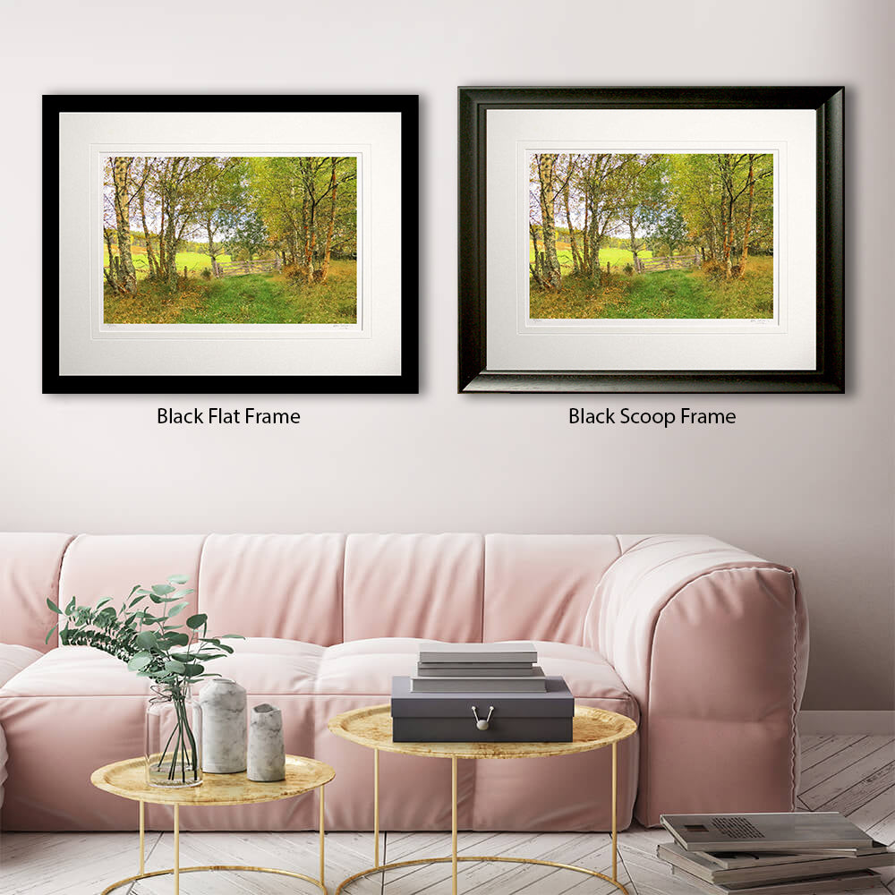 Other - Autumn at Birch Lane