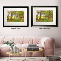 Other - Autumn at Birch Lane