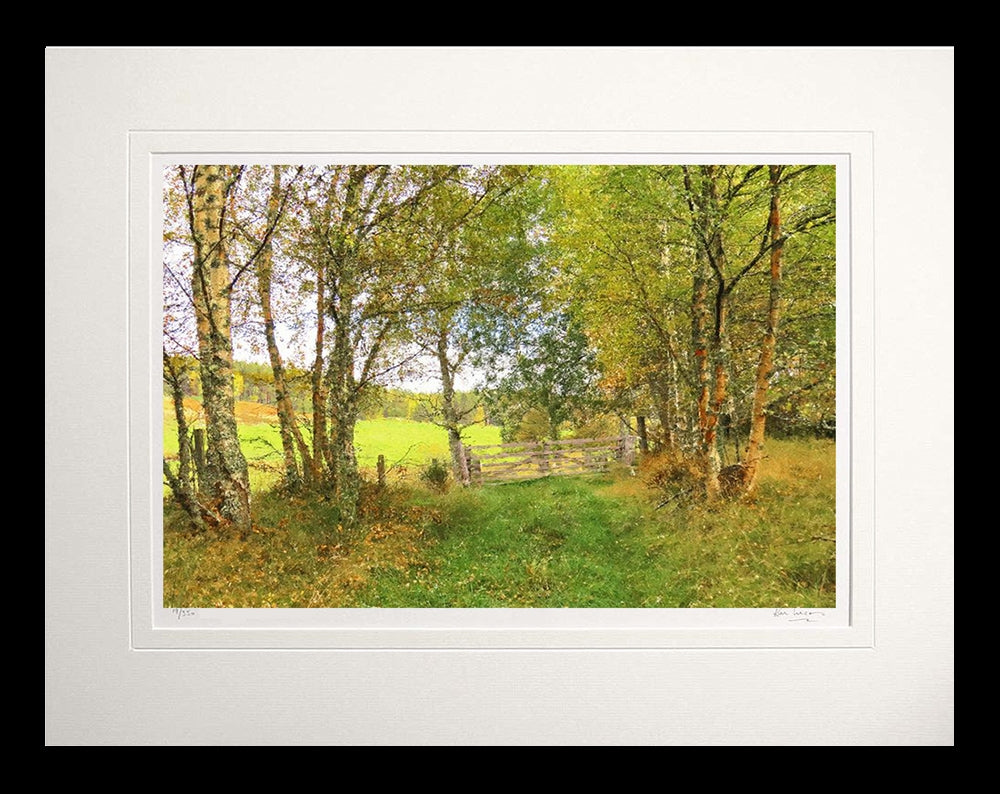 Other - Autumn at Birch Lane-Flat Black Frame-60x47.5
