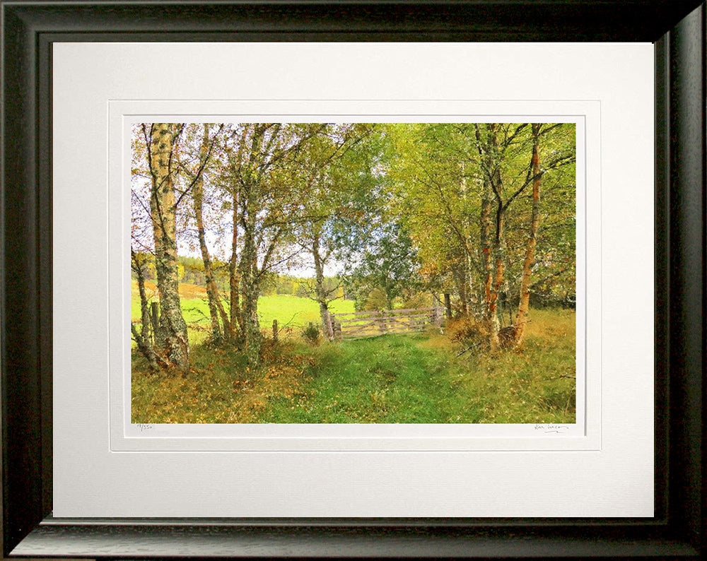 Other - Autumn at Birch Lane Frame Black Moulded 60x47.5